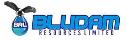 Bludam Resources Limited